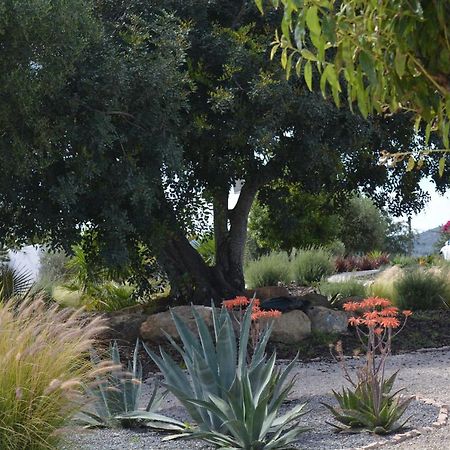לינה וארוחת בוקר מונקאראפאצ'ו Quinta Luz Do Sol מראה חיצוני תמונה