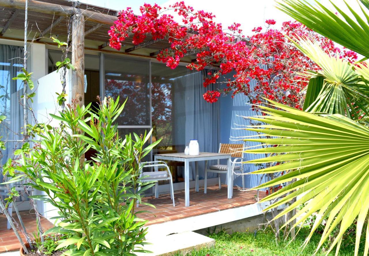 לינה וארוחת בוקר מונקאראפאצ'ו Quinta Luz Do Sol מראה חיצוני תמונה