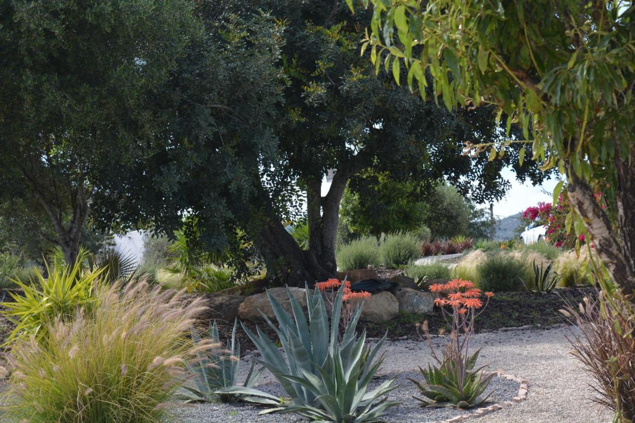 לינה וארוחת בוקר מונקאראפאצ'ו Quinta Luz Do Sol מראה חיצוני תמונה