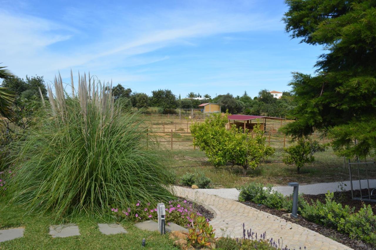 לינה וארוחת בוקר מונקאראפאצ'ו Quinta Luz Do Sol מראה חיצוני תמונה