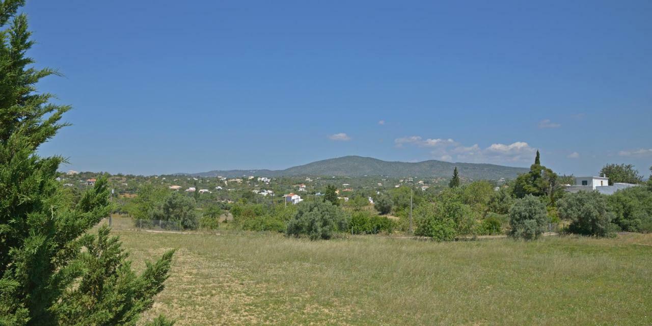 לינה וארוחת בוקר מונקאראפאצ'ו Quinta Luz Do Sol מראה חיצוני תמונה